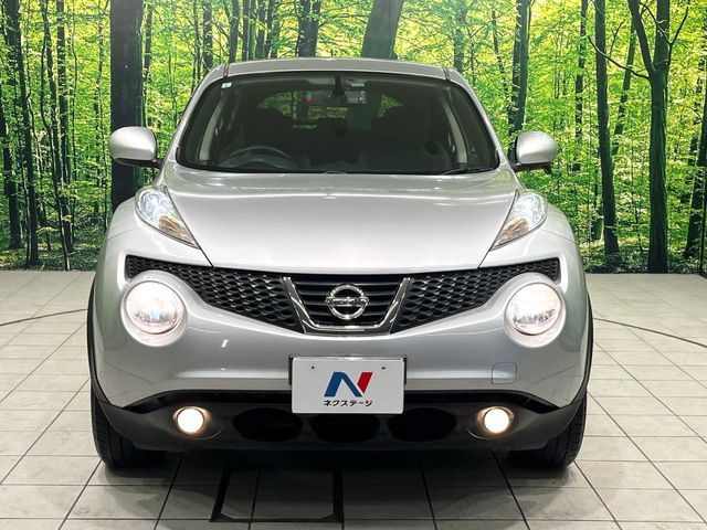 NISSAN JUKE 2013
