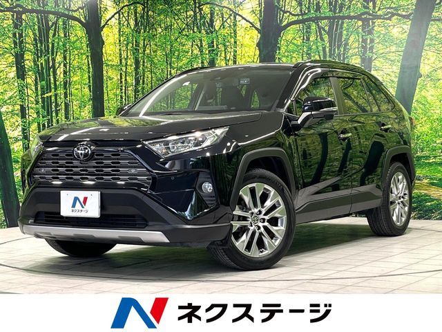 TOYOTA RAV4 4WD 2019