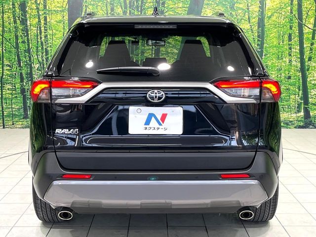 TOYOTA RAV4 4WD 2019