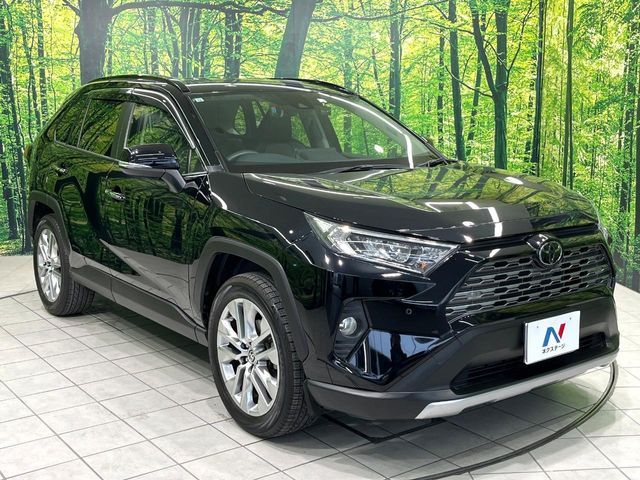 TOYOTA RAV4 4WD 2019