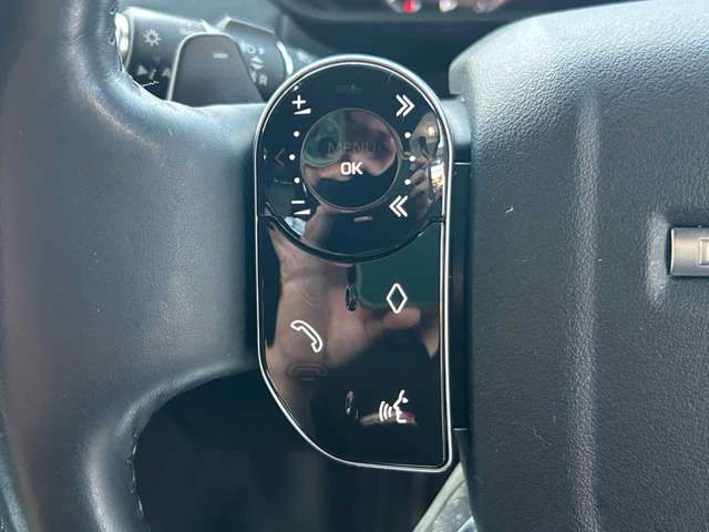 ROVER ROVER DISCOVERY 2020