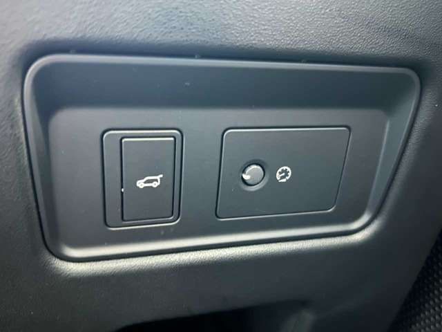 ROVER ROVER DISCOVERY 2020