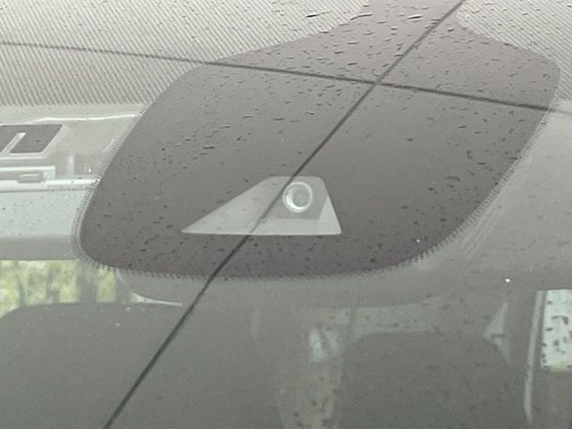 NISSAN SERENA  S-HYBRID 4WD 2019