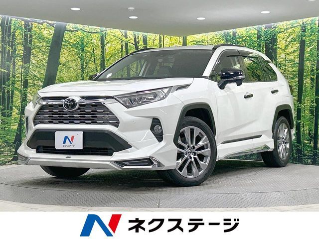 TOYOTA RAV4 4WD 2019