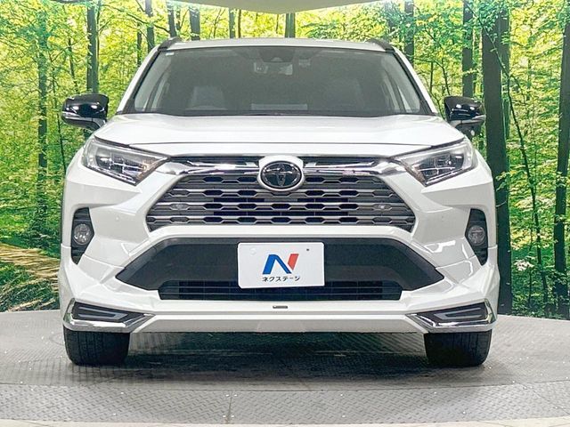 TOYOTA RAV4 4WD 2019