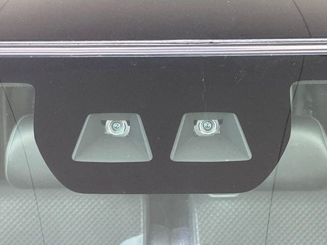 SUBARU CHIFFON CUSTOM 2019