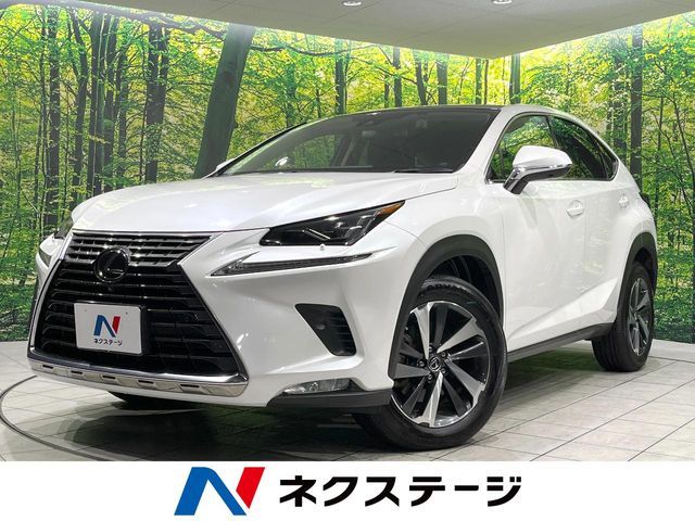 TOYOTA LEXUS NX300 2019 