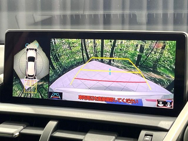 TOYOTA LEXUS NX300 2019