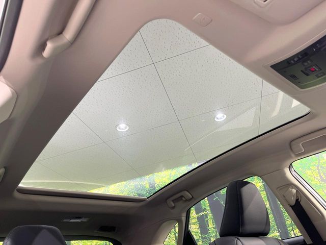 TOYOTA LEXUS NX300 2019