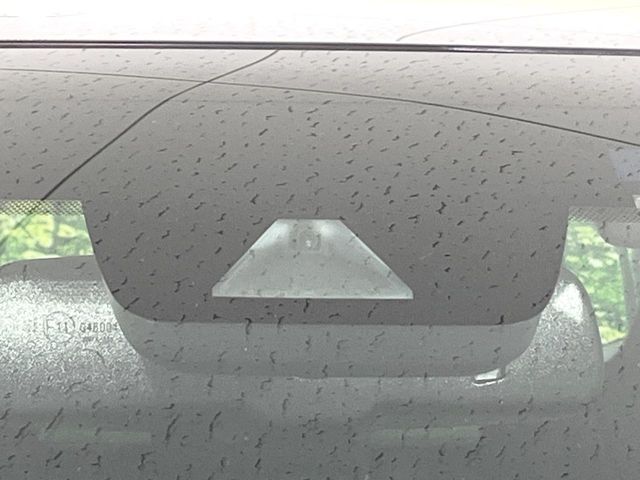 TOYOTA LEXUS NX300 2019