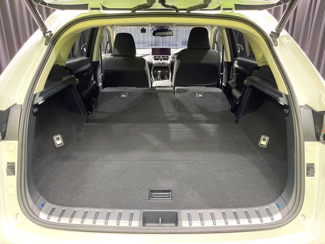 TOYOTA LEXUS NX300 2019