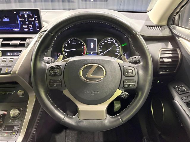 TOYOTA LEXUS NX300 2019