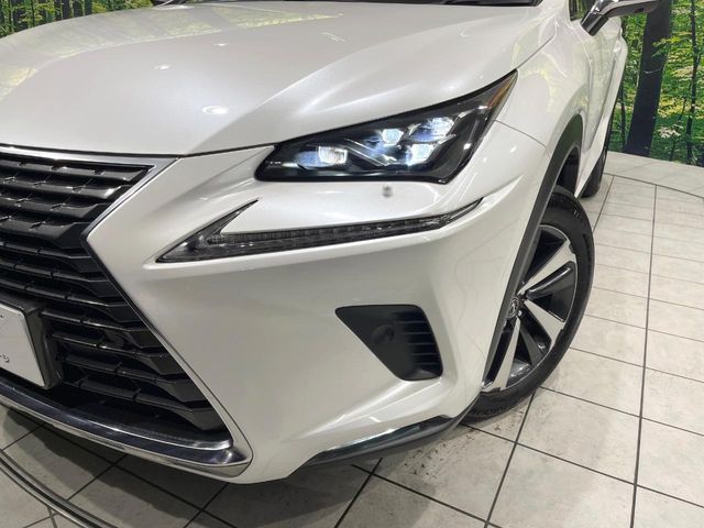 TOYOTA LEXUS NX300 2019
