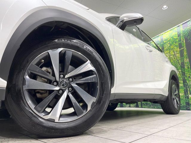 TOYOTA LEXUS NX300 2019