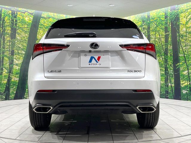 TOYOTA LEXUS NX300 2019