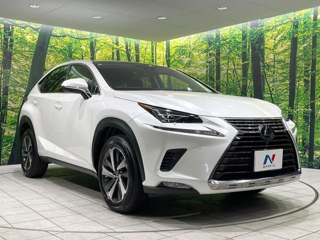 TOYOTA LEXUS NX300 2019