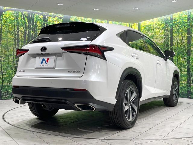 TOYOTA LEXUS NX300 2019