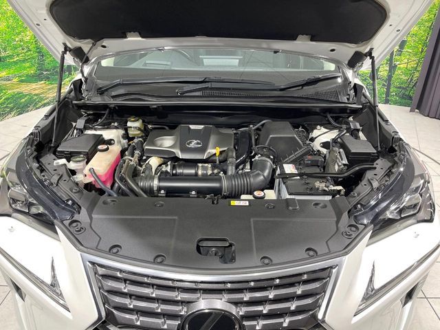 TOYOTA LEXUS NX300 2019