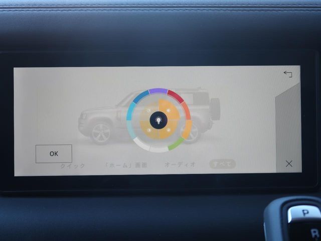 ROVER ROVER DEFENDER 2024