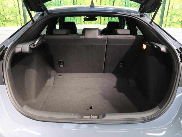 HONDA CIVIC hatchback 2021