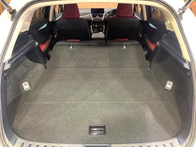 TOYOTA LEXUS NX300h AWD 2018