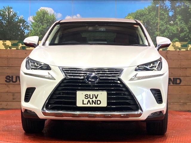 TOYOTA LEXUS NX300h AWD 2018