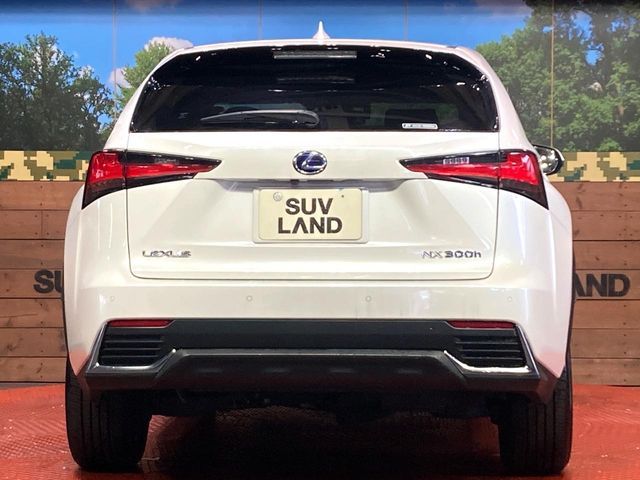 TOYOTA LEXUS NX300h AWD 2018
