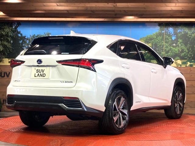 TOYOTA LEXUS NX300h AWD 2018