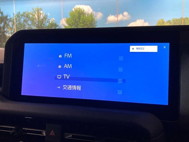 TOYOTA LANDCRUISER 250 2024