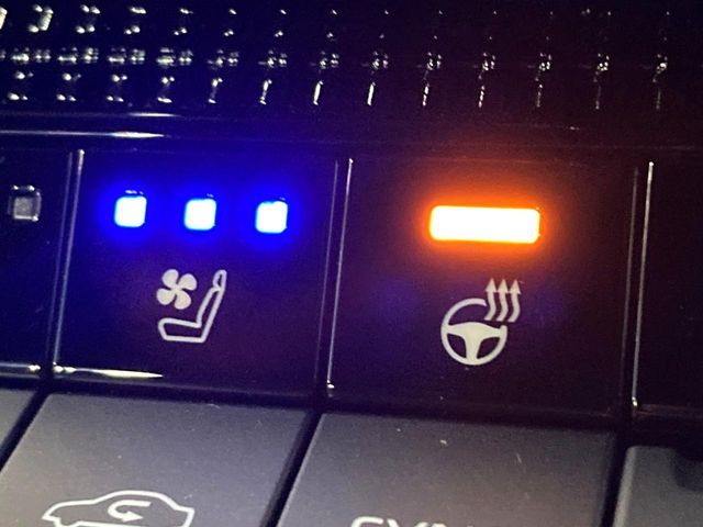 TOYOTA LANDCRUISER 250 2024