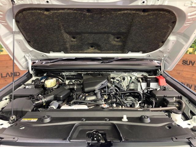 TOYOTA LANDCRUISER 250 2024