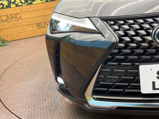 TOYOTA LEXUS UX250h 2023