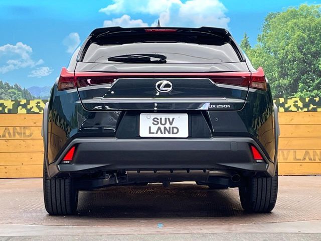 TOYOTA LEXUS UX250h 2023