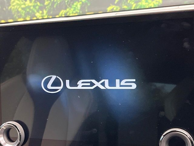 TOYOTA LEXUS NX350h 2023