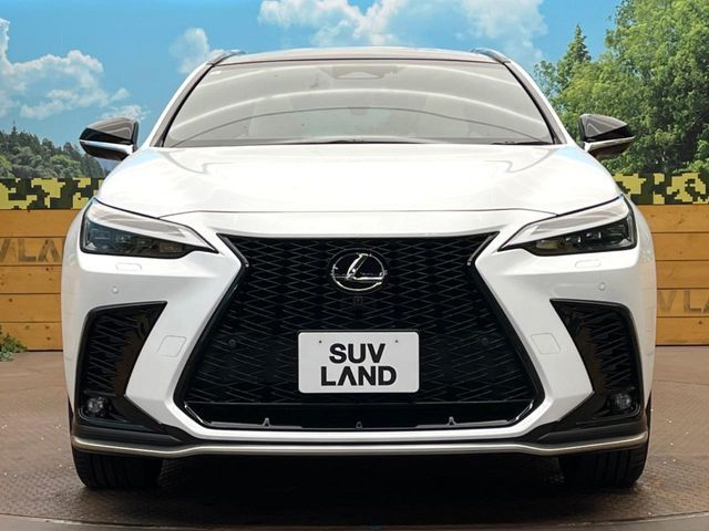 TOYOTA LEXUS NX350h 2023