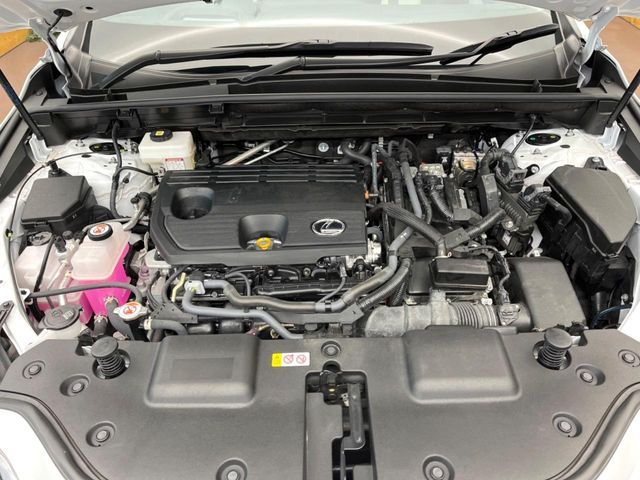 TOYOTA LEXUS NX350h 2023