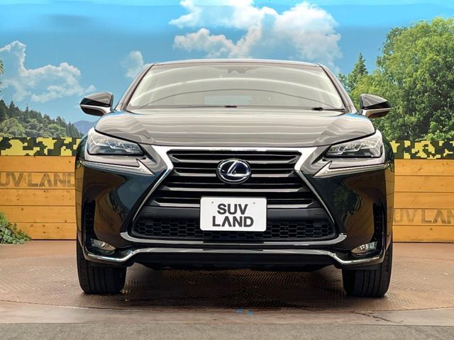 TOYOTA LEXUS NX300h 2016