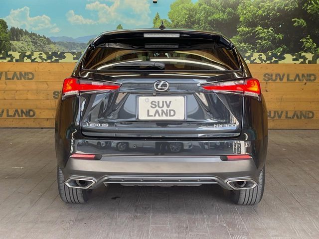 TOYOTA LEXUS NX300 2017