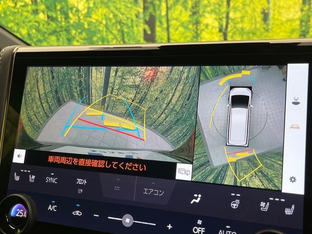 TOYOTA ALPHARD hybrid 2024