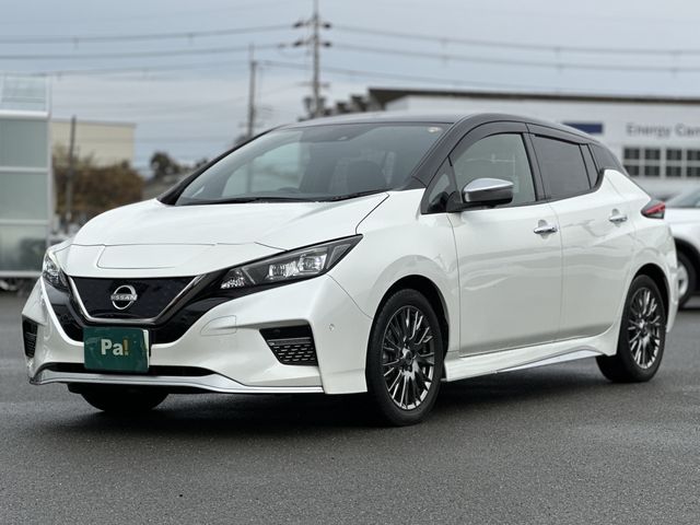 NISSAN LEAF 2020
