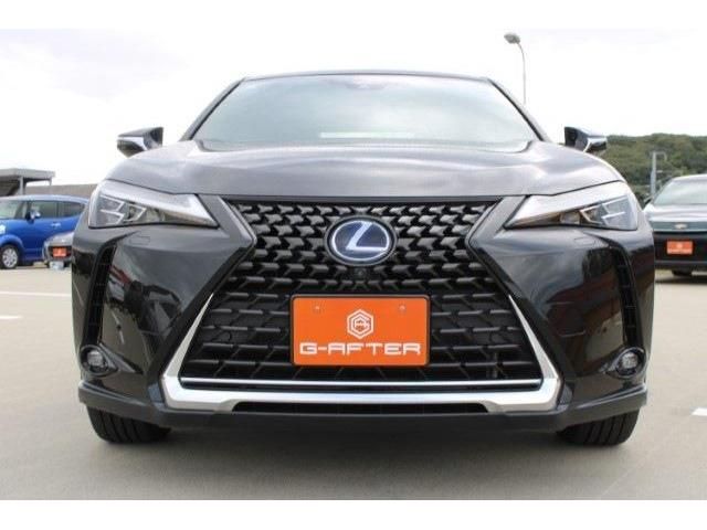 TOYOTA LEXUS UX250h 2019
