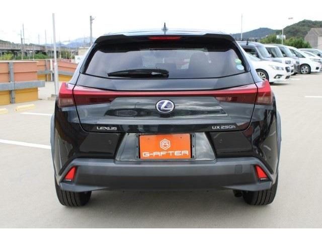 TOYOTA LEXUS UX250h 2019