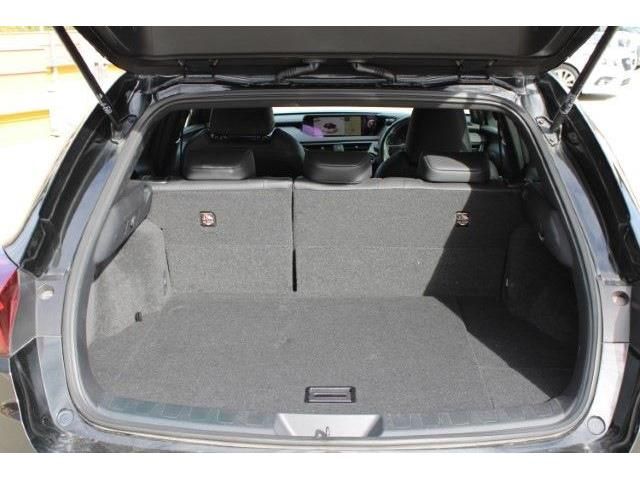 TOYOTA LEXUS UX250h 2019