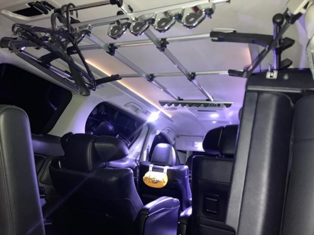 TOYOTA ALPHARD 4WD 2013