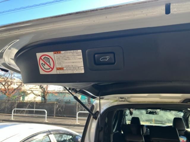 TOYOTA ALPHARD hybrid 4WD 2017