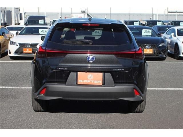 TOYOTA LEXUS UX300e 2022