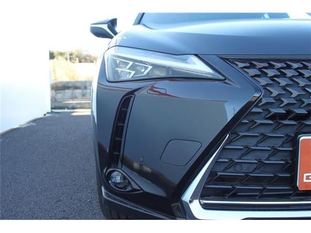 TOYOTA LEXUS UX300e 2022