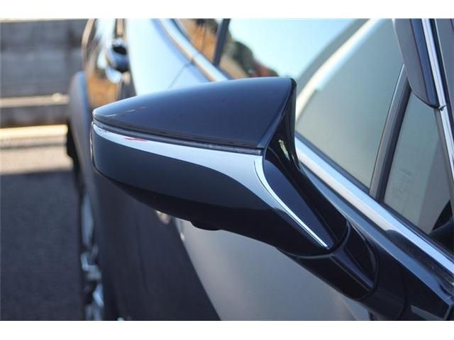 TOYOTA LEXUS UX300e 2022