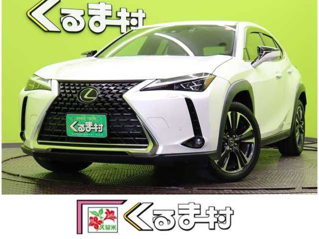 TOYOTA LEXUS UX250h 2022