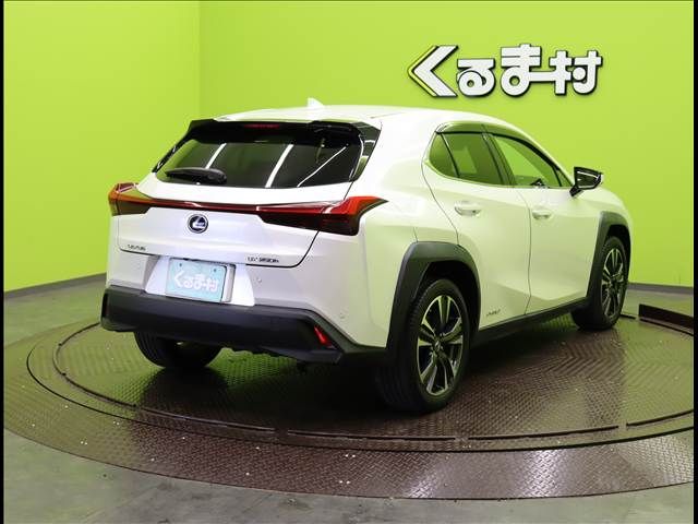 TOYOTA LEXUS UX250h 2022